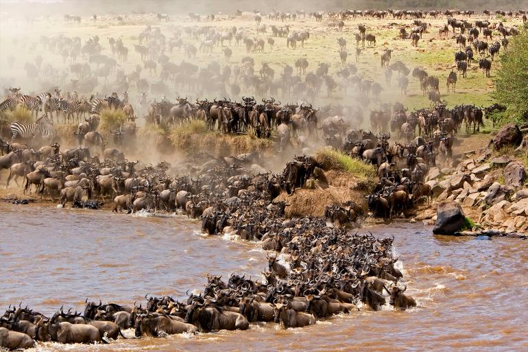 MASAI MARA NATIONAL PARK